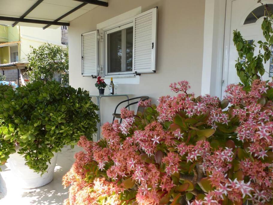 Michaels Flower House Kanálion Zewnętrze zdjęcie